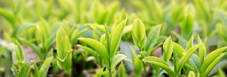 一村一品排名,一村一品产品大全