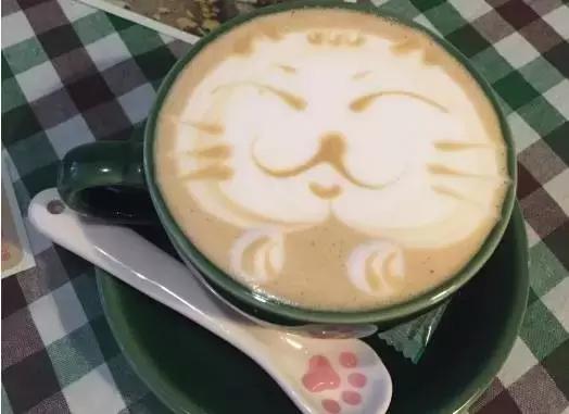 猫咪咖啡馆哪家最好,武汉有哪些猫咪咖啡厅