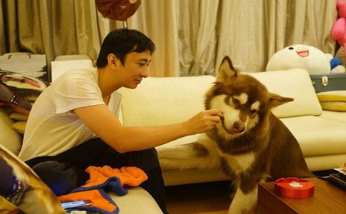 王宝强为什么会成为娱乐明星,王宝强事件哪些明星支持他