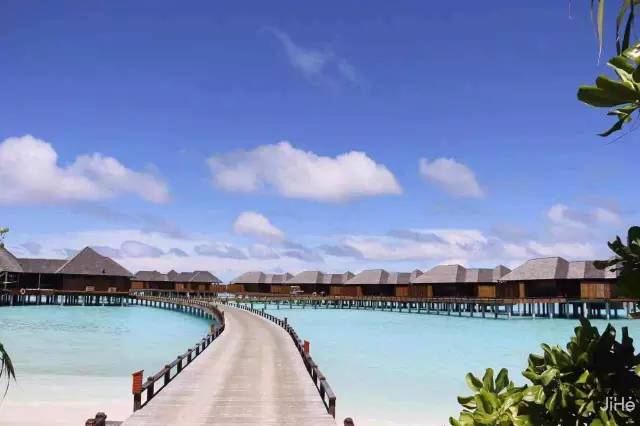 马尔代夫的蜜月岛值得去吗,去马尔代夫度蜜月感受