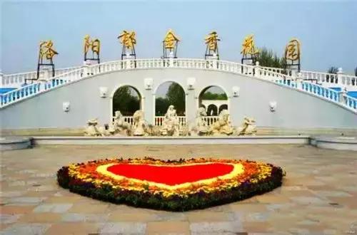 洛阳涧西区好玩的景点,洛阳35个免费景点