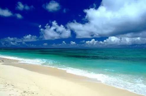 为什么年轻人还没离开厦门,多少人离开了厦门