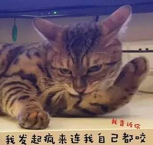 双相情感障碍误解,双相情感障碍的女生是什么意思