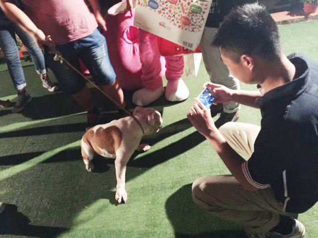 星河世纪携波奇服务庆中秋迎国庆——纳凉晚会