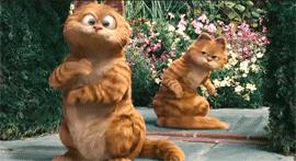 就让加菲毁掉你的中秋吧喵哈哈哈