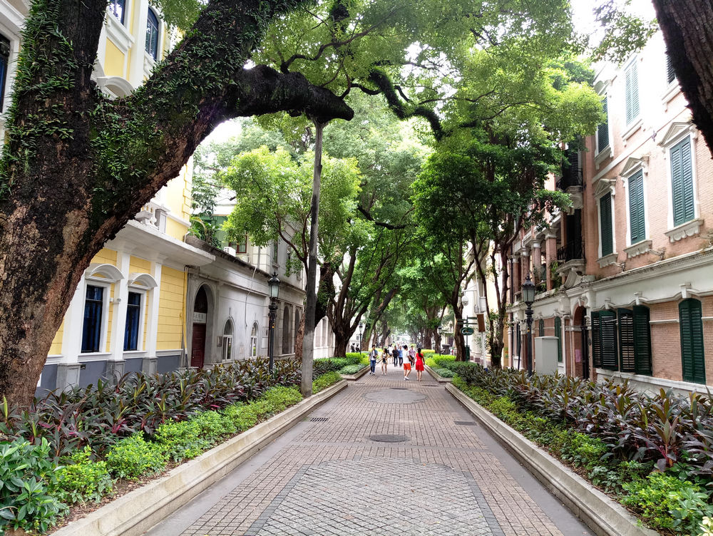 有必要上mx6吗,mx6什么时候出