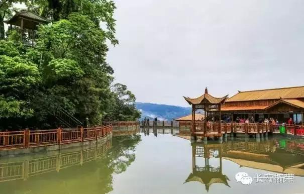 柘荣县旅游必去十大景点,柘荣县楮坪乡景点