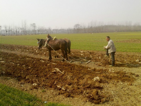 这十个最常见的农活你干过几个,农村比较辛苦的农活有哪些