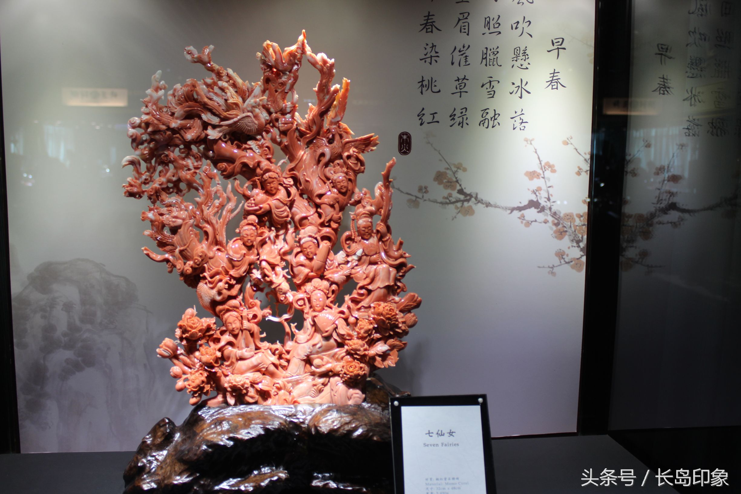 红珊瑚台湾寓意,台湾红珊瑚和日本红珊瑚的区别