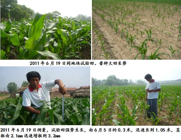 农业立式搅拌机,农业大功率搅拌器