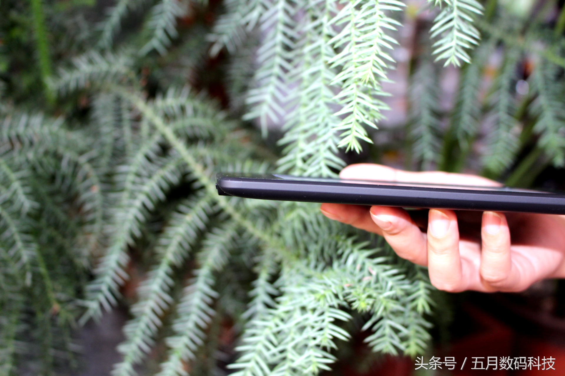 Myfirstkindle，书到用时方恨少，快来读书