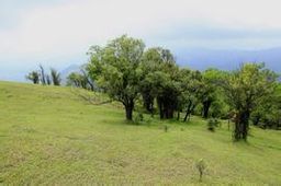 广东的草原在哪,广东附近哪里有草原