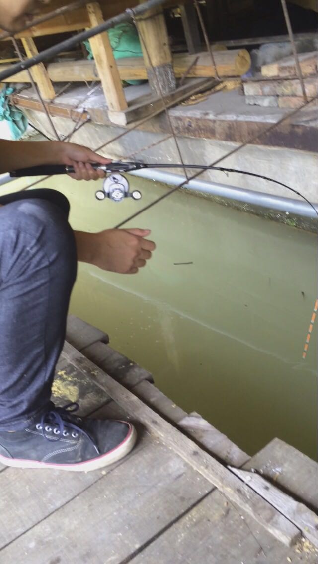 五强溪探钓大物,五强溪筏钓比赛