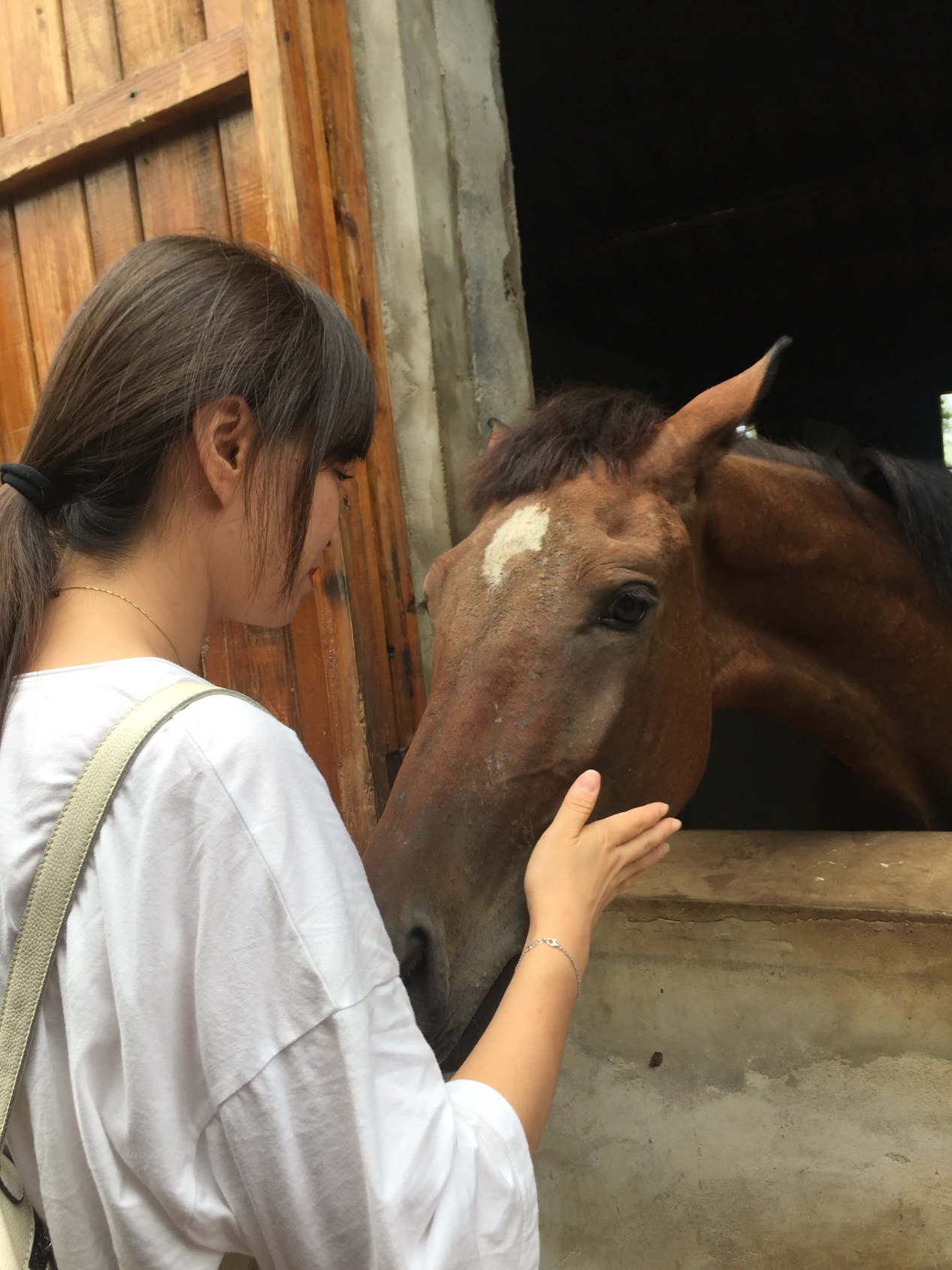放慢脚步陪伴孩子,带娃慢慢悠悠的旅游
