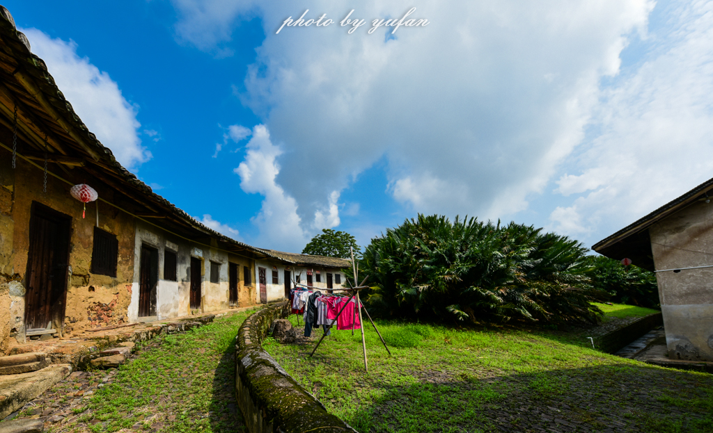 丝路奇迹:观围屋之典范,赏苏铁之传奇