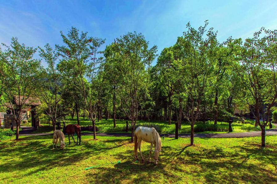 杭州热土庄园游玩攻略,杭州热土庄园位置