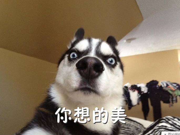 好消息银联,信用卡逾期滞纳金怎么追回