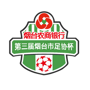 山东烟台鲁能足协杯,烟台2019足协杯开幕式