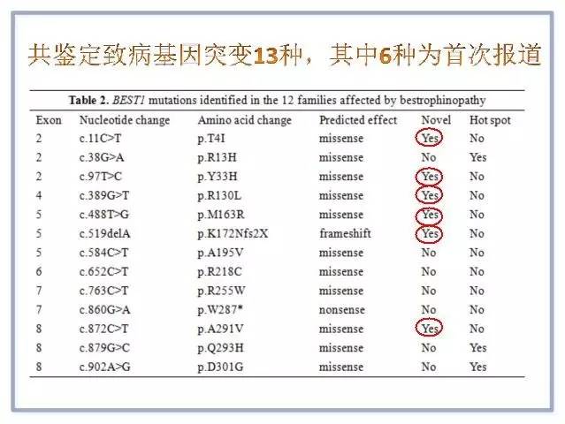 CCOS2016眼底陈有信教授:Best病及基因型与表现型研究