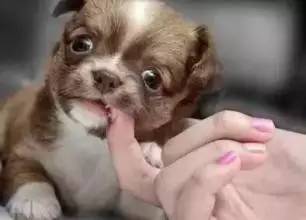 这些常识一定要知道,这些常识你要懂