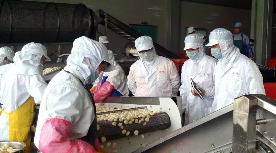 马蹄是种药材吗,马蹄是什么植物果实