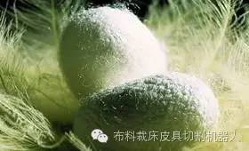 如何挑选真正的真丝,教您如何选购真丝