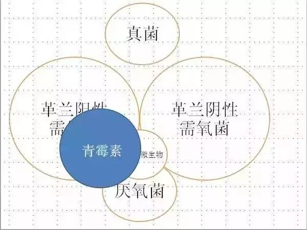 「简单粗暴」最简单明了的抗生素图解！