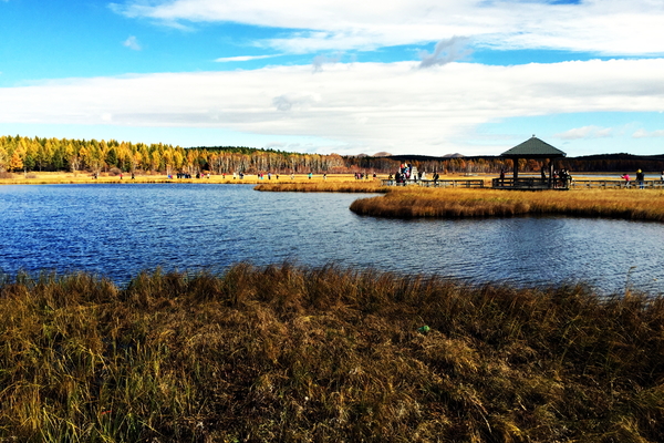 说走就走沙漠,说走就走张家口