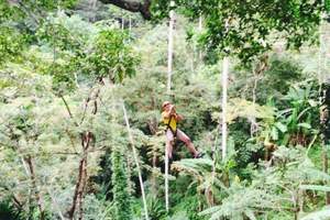 斯米兰普吉岛蜜月游攻略,从普吉岛怎么去蜜月岛