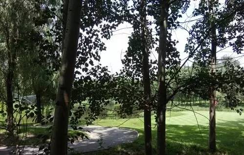 cool1dual手机最新款,cool1dual屏幕