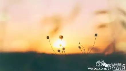 新闻|甘肃省招研单位明年预计招硕士生9429人；女子偷走男友银行卡*取盗**3.8万元挥霍；男子无证驾车把交警撞出800多米