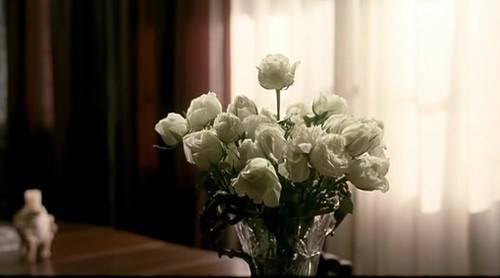 福利来袭门票免费送,福利特惠门票