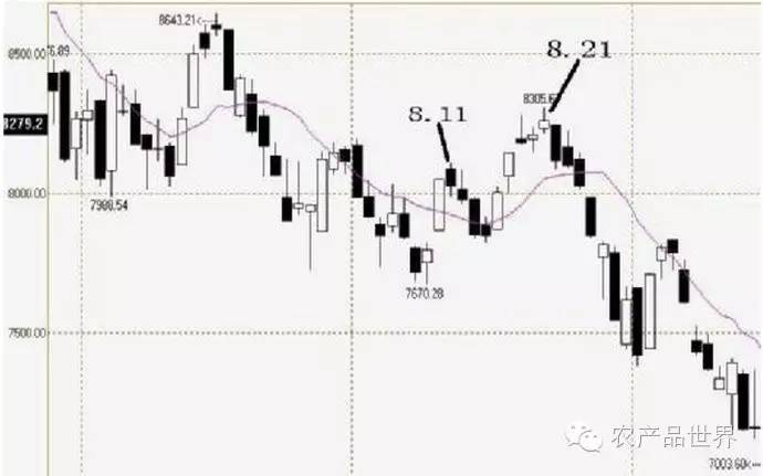 叹为观止合集,叹为观止十大经典