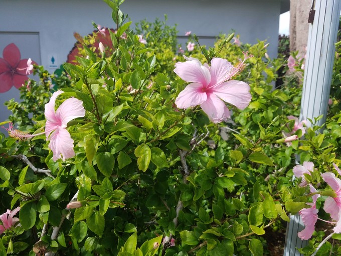 塞班冬游印象记,身处在美景中内心的感受