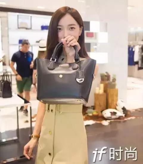 刘诗诗高圆圆同款,杨幂包包品牌及价格