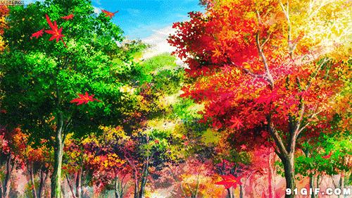 我是秋风君不知舞落枫叶寄相思