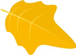 寿县三中学校最新消息,寿县三中旧校区