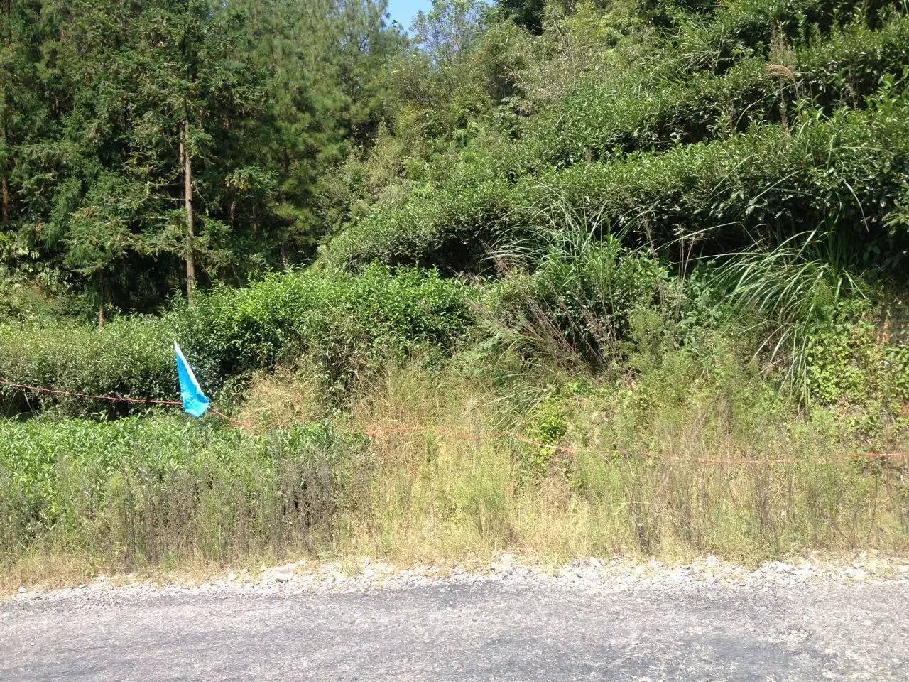 霞浦东海一号公路路线图最新,霞浦县柏洋乡联七线