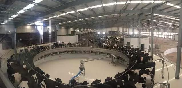 绍兴滨海新城有什么新消息,绍兴滨海新城发展