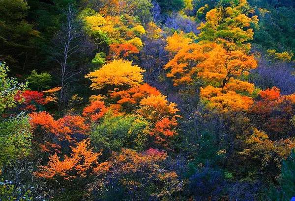 不需要知道你离世的理由，只愿你在天堂能重展笑容！