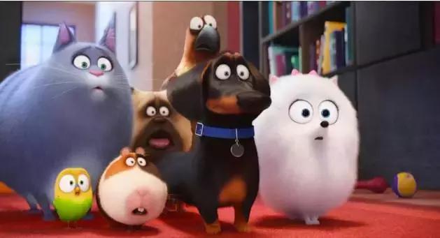 独家！教你如何带着宠物“坐“火车！