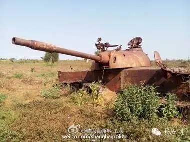 南苏丹维和故事：拯救“总指挥”“鸡毛信”营地捣乱的狒狒