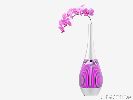 据说这个“花瓶”10个妹子中9个都喜欢！