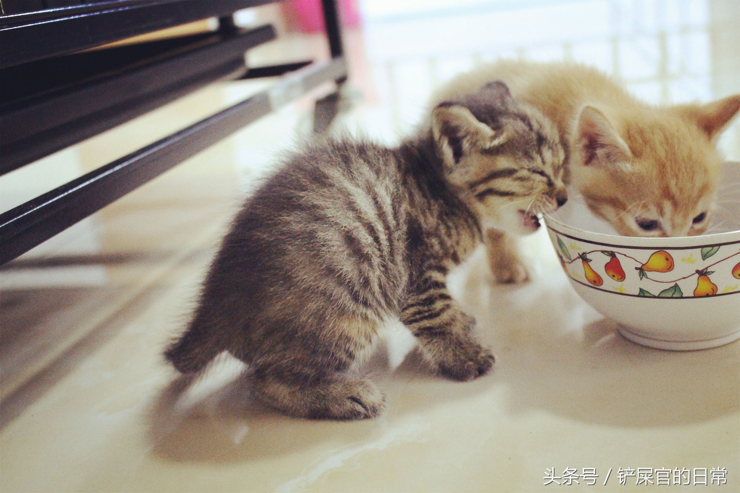 婊℃湀鐚挭鍊煎緱楂樺叴鐨勪簨,钀岀尗鍜垰婊℃湀