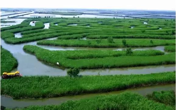 为什么北方习惯洗屁屁,洗屁屁是全国统一的吗