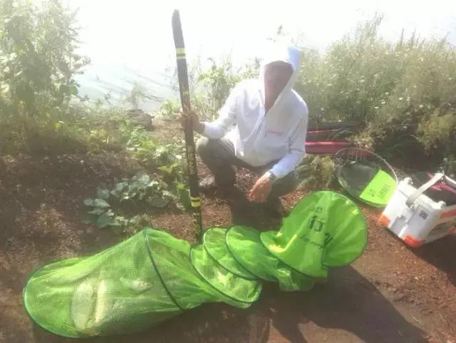 娓旇幏鎴樻姤,澶滈挀娓旇幏鎴樻姤