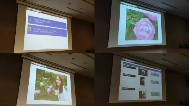 探访卡西欧日本总部：消费级数码相机的最后坚守