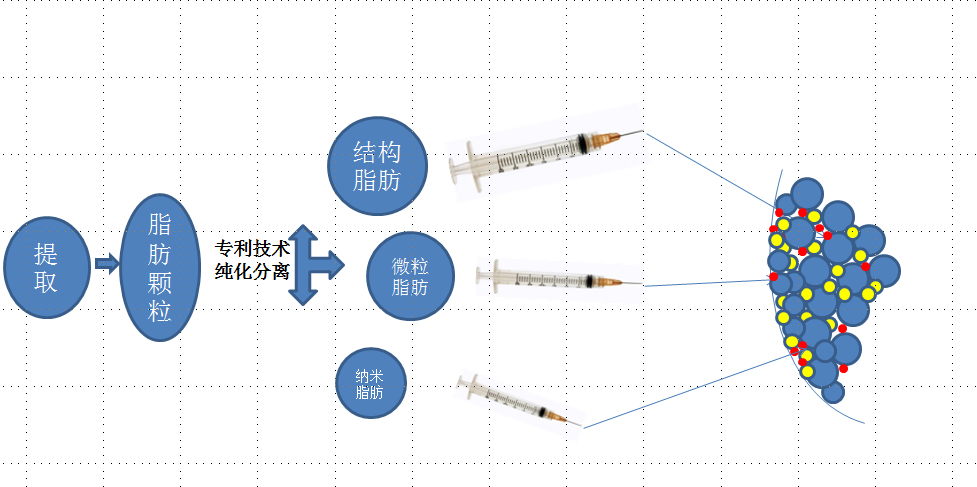 明明才20几岁看着显老,年纪不大看起来显老