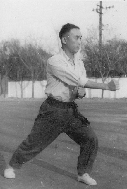 河南的拳,河南有什么拳