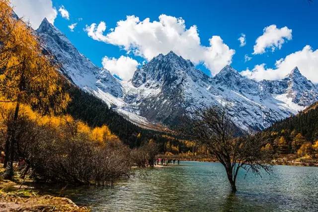 不需要知道你离世的理由，只愿你在天堂能重展笑容！